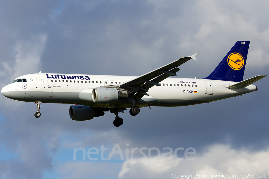 Lufthansa Airbus A320-211 (D-AIQP) | Photo 34127